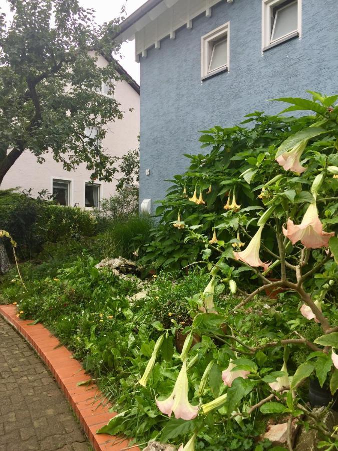 Blaues Haus Apartment Niederdorfelden Exterior photo