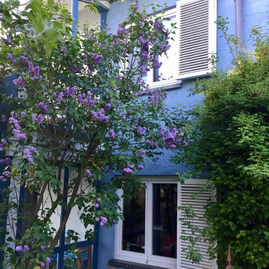 Blaues Haus Apartment Niederdorfelden Exterior photo
